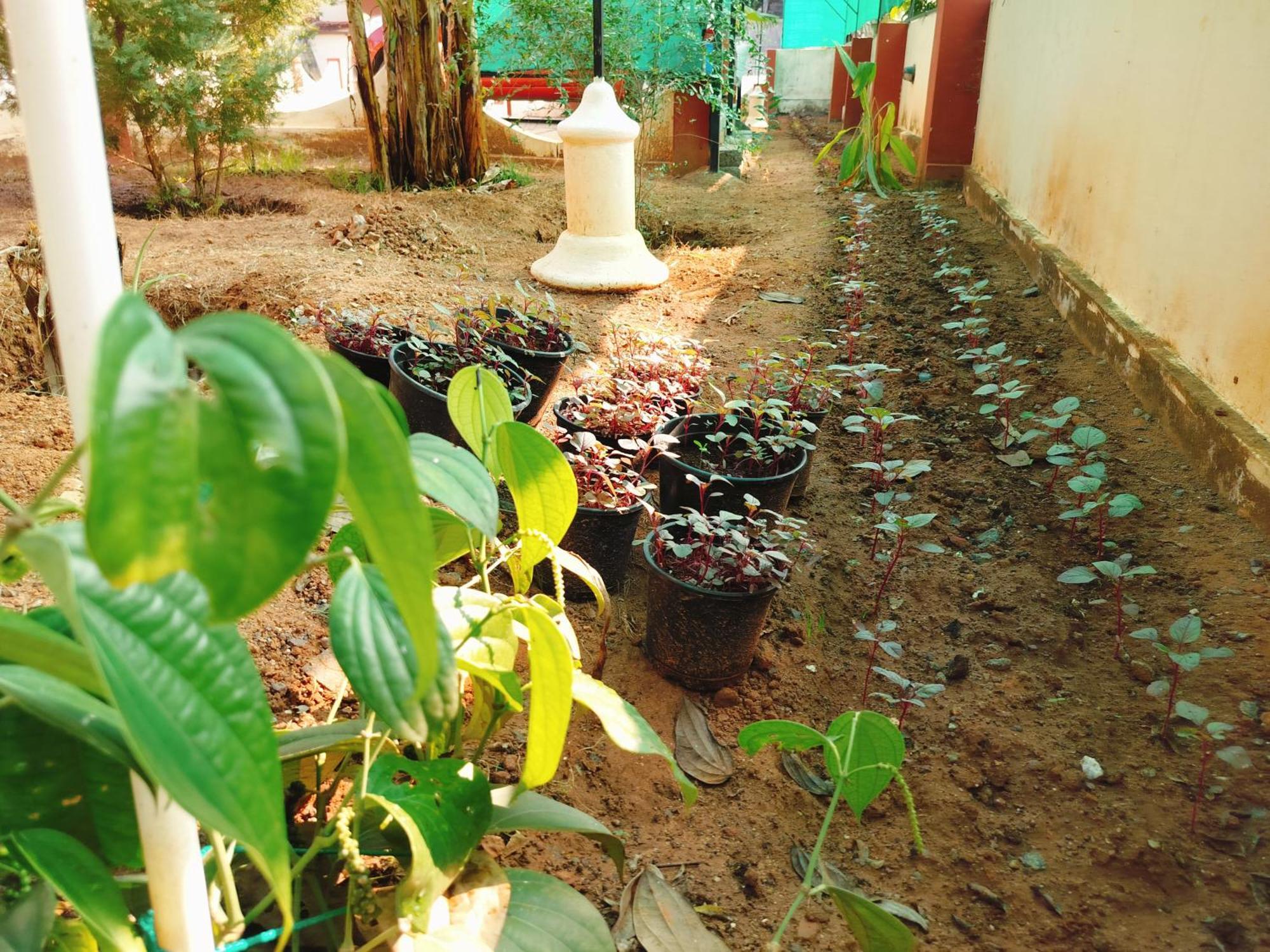 The Ixora - A Boutique Homestay Varkala Exterior foto