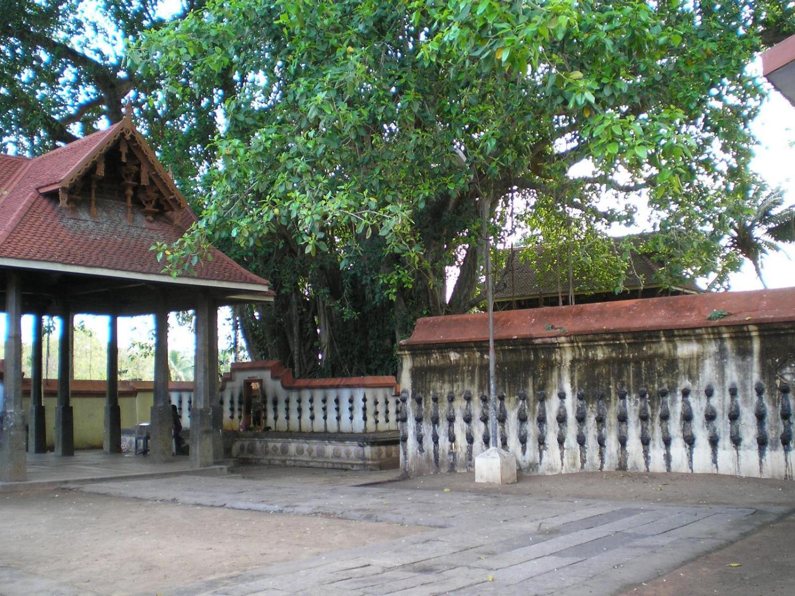 The Ixora - A Boutique Homestay Varkala Exterior foto
