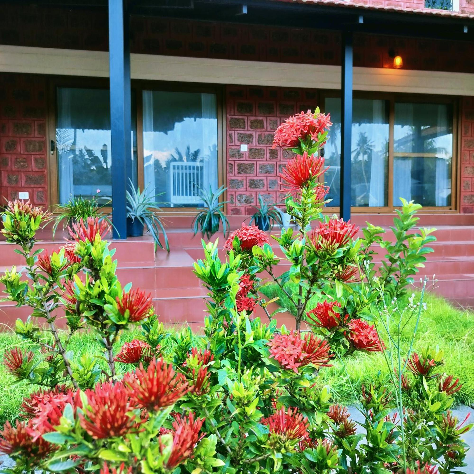 The Ixora - A Boutique Homestay Varkala Exterior foto